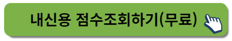 신용점수 조회하기
