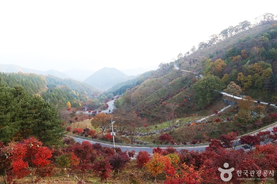 함양 가볼만한곳 베스트 10