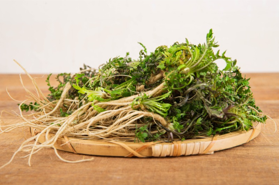 2월 제철음식 냉이 알아보기