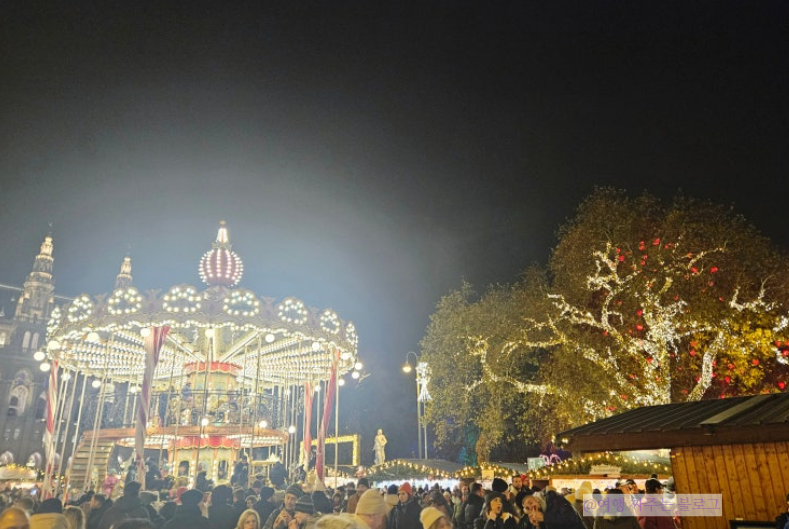 #비엔나크리스마스 #유럽크리스마스