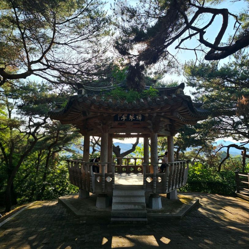 탄금대
