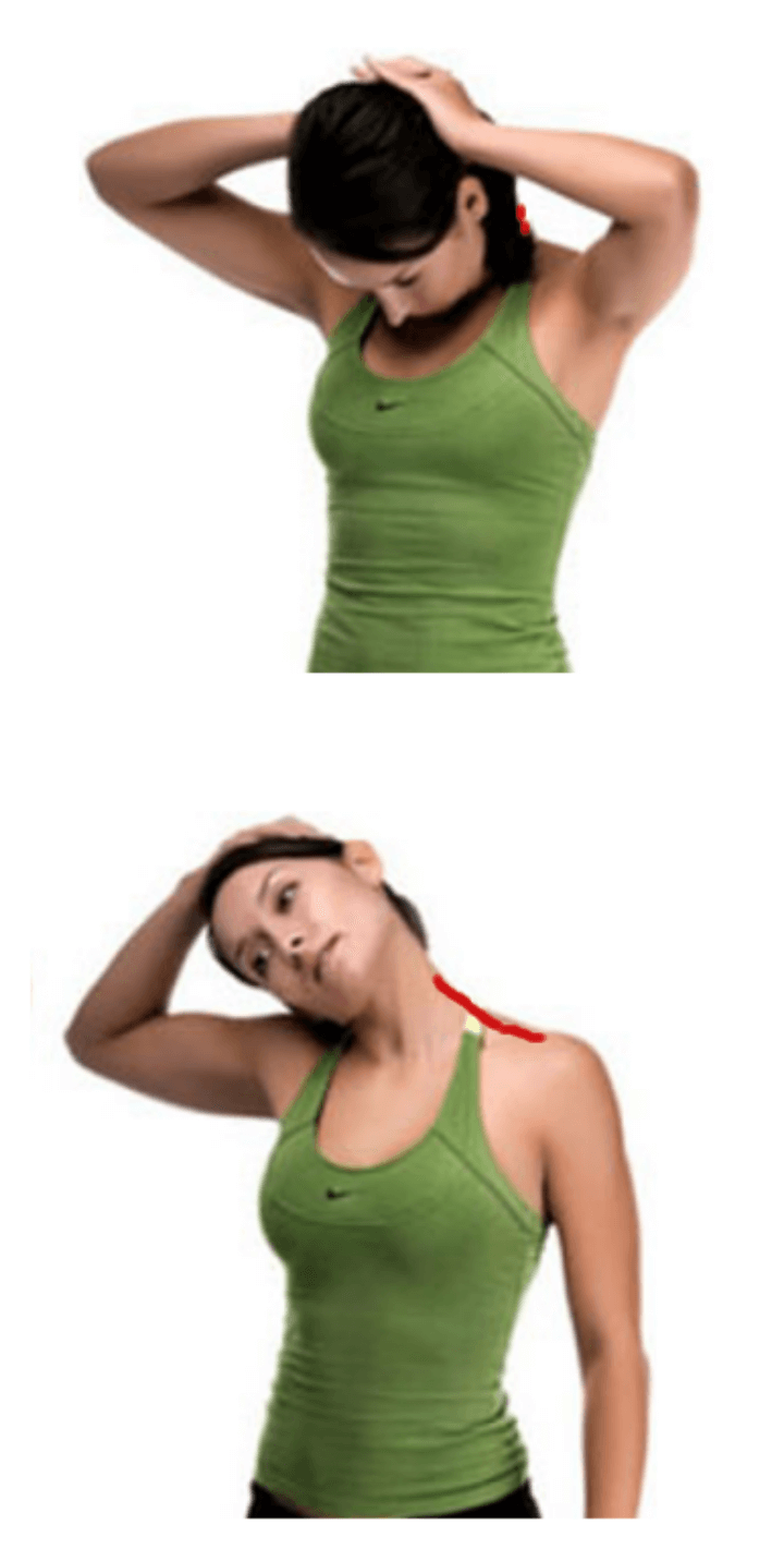 손으로-머리를-당겨-목과-등을-스트체칭하는-사람