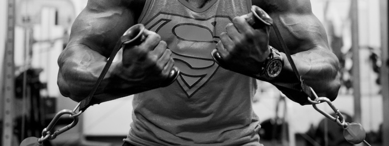 게이너보충제 추천 - 게이너보충제 먹는법, 게이너보충제 부작용 및 주의사항