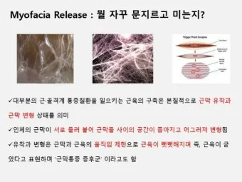 축구선수학부모연합회 숭실대학교 경남 천안_9