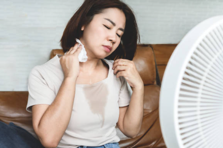 갱년기 증상 30가지