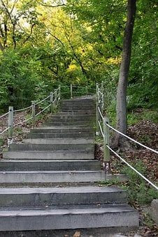 산-오르막에-계단이-깨끗이-청소되어있는-모습