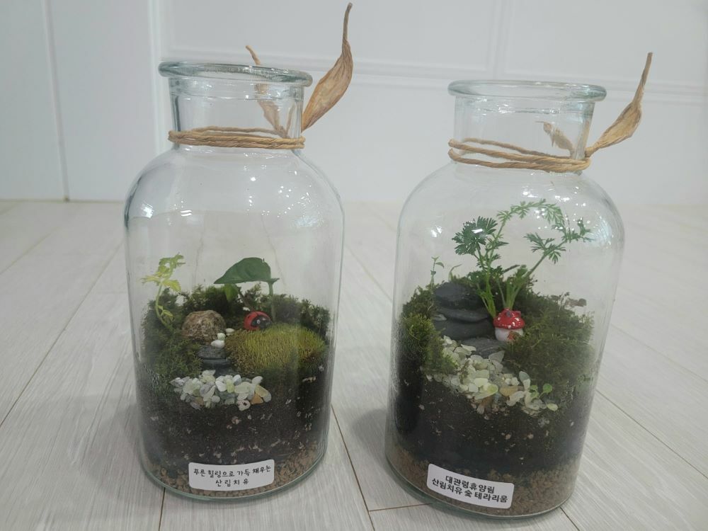 대관령 자연휴양림