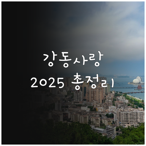 강동사랑상품권 2025년 업데이트: ..