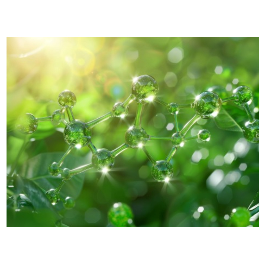 비타민K2와 관련된 사진입니다.