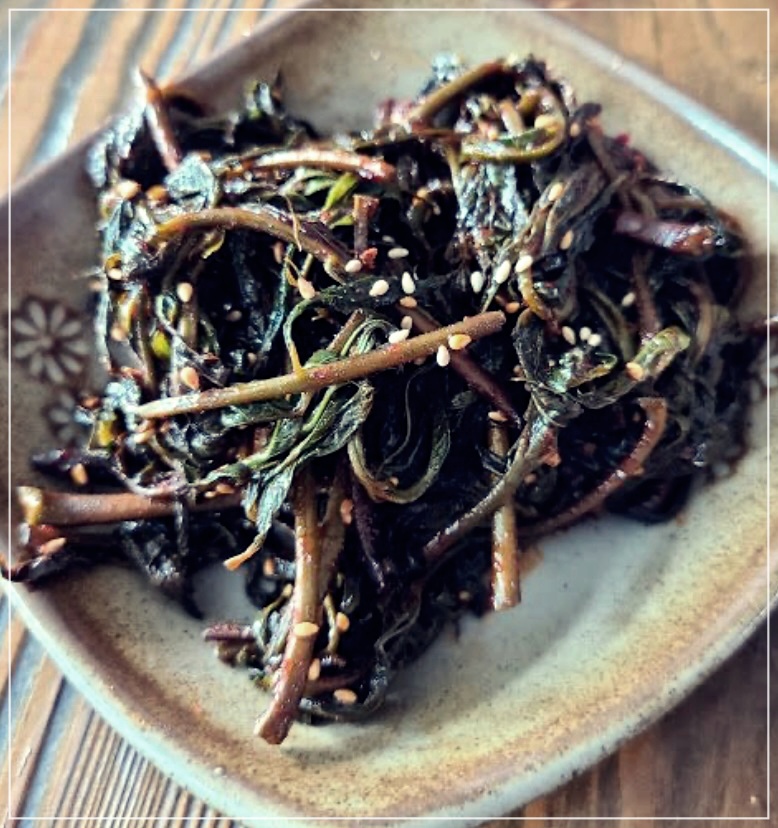 가죽나물 효능 3가지를 바로 알아보자