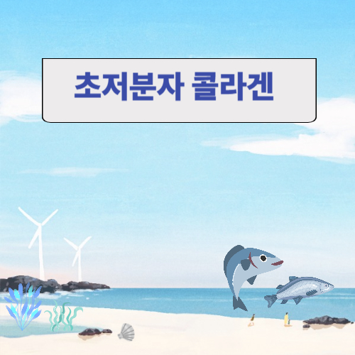 초저분자 콜라겐