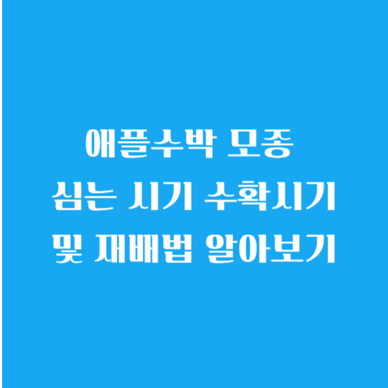 애플수박 모종 심는 시기 수확시기 및 재배법 알아보기