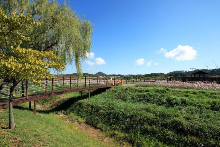 안산 대부도 인생 캠핑장, 추천 캠핑장