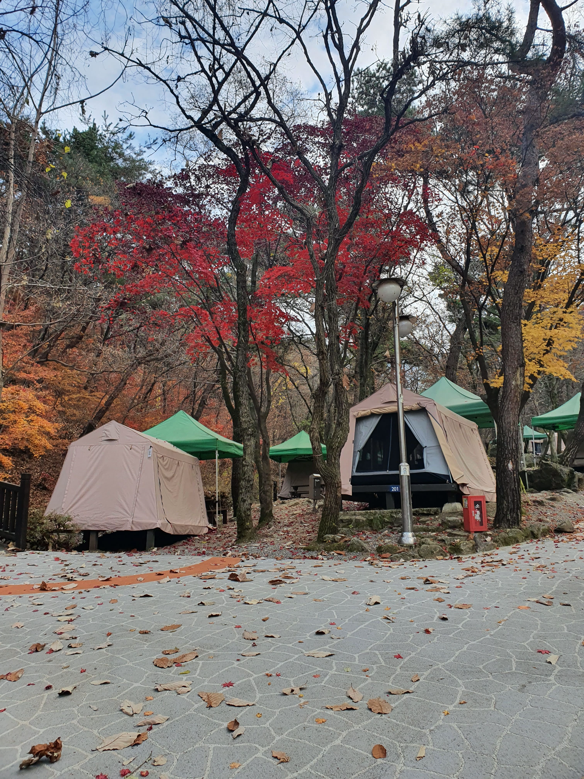 서울대공원 캠핑장