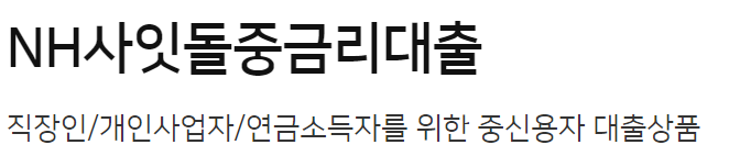 농협은행 NH사잇돌중금리 대출