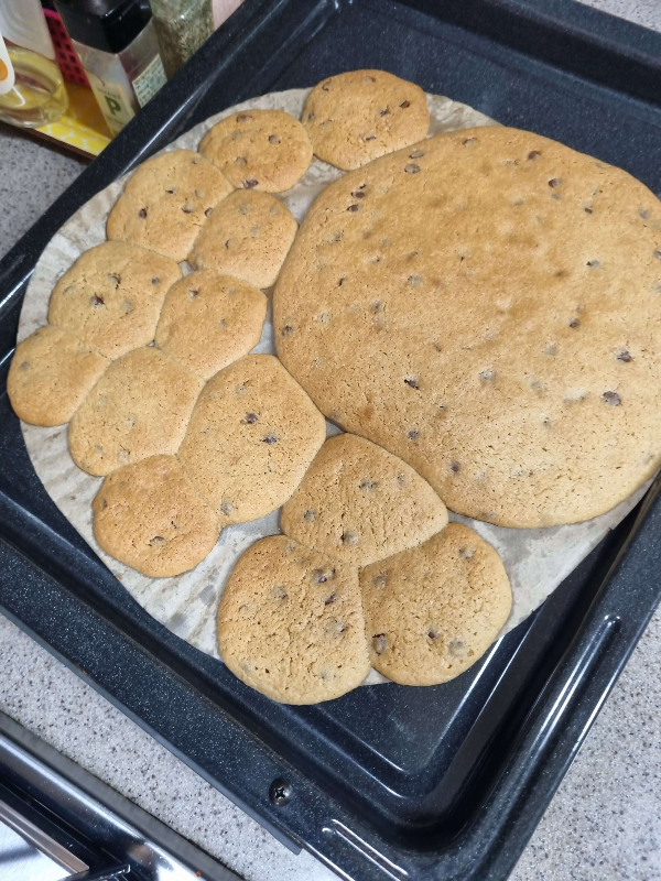 쿠키 완성품 모습