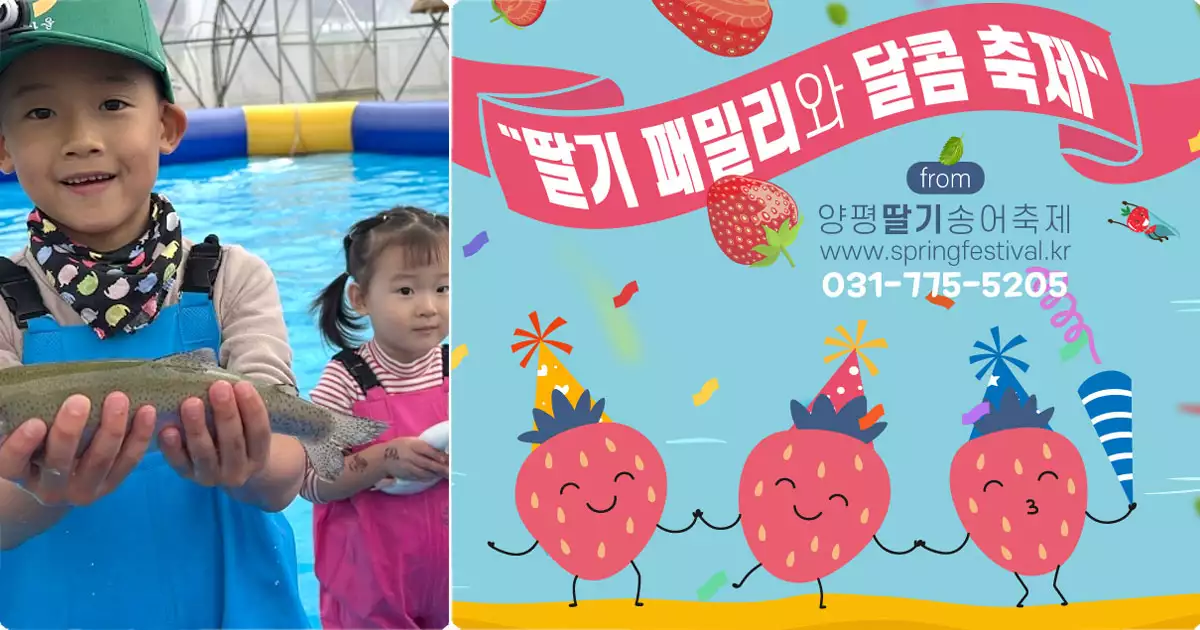 5월 양평딸기송어축제