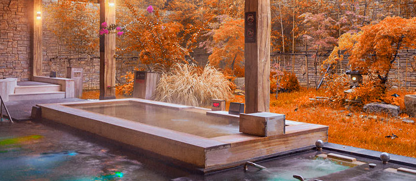 청송 소노벨 솔샘온천