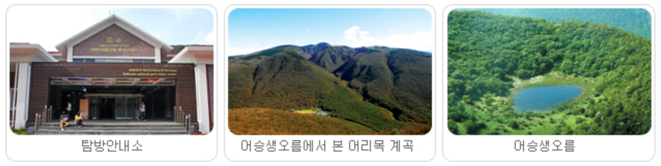 어승생악 탐방로