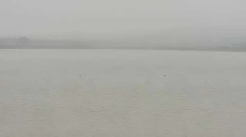 서해안안전체험관