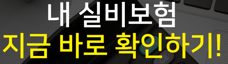 실비보험