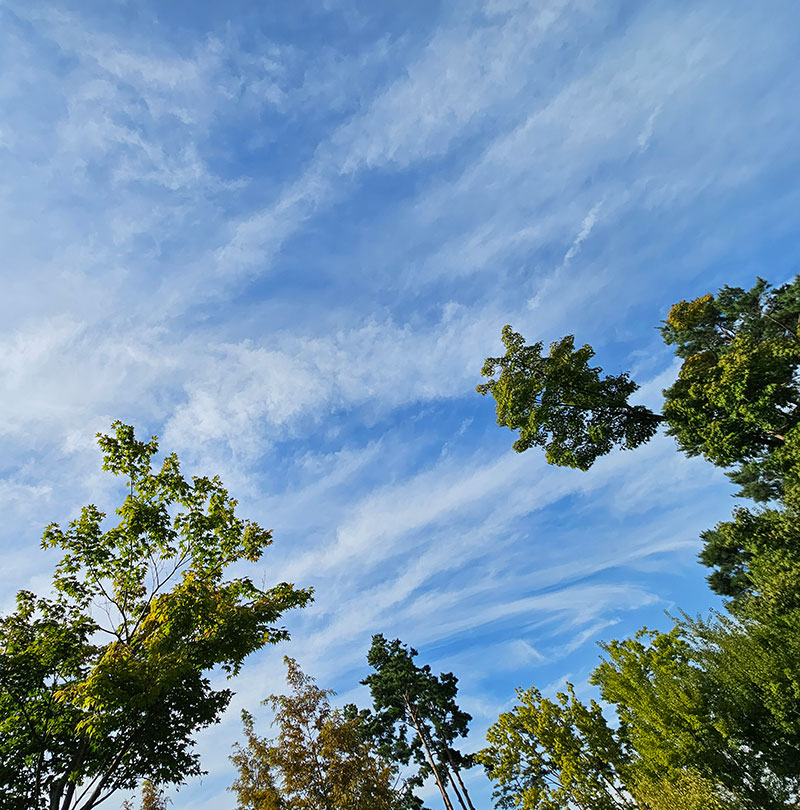 광교호수공원 가족캠핑장 전경10