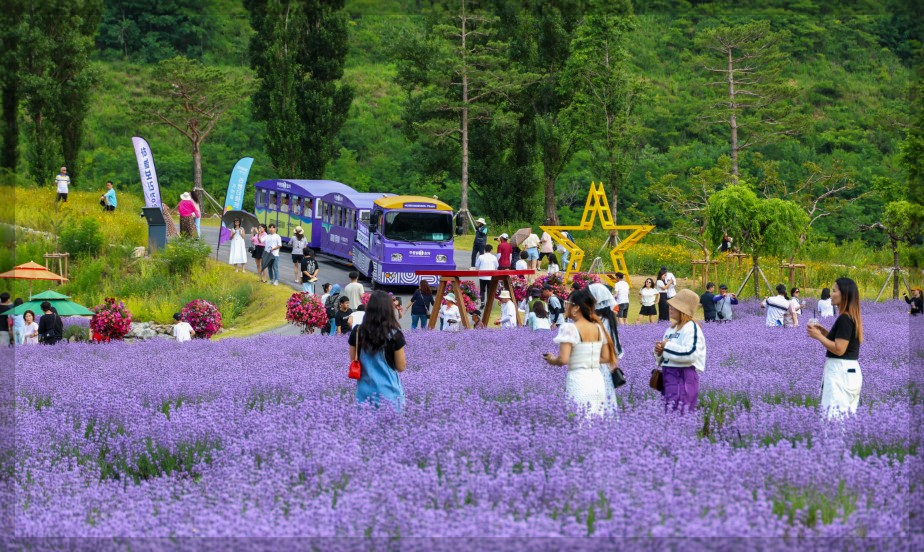 6월 국내 여행지 추천