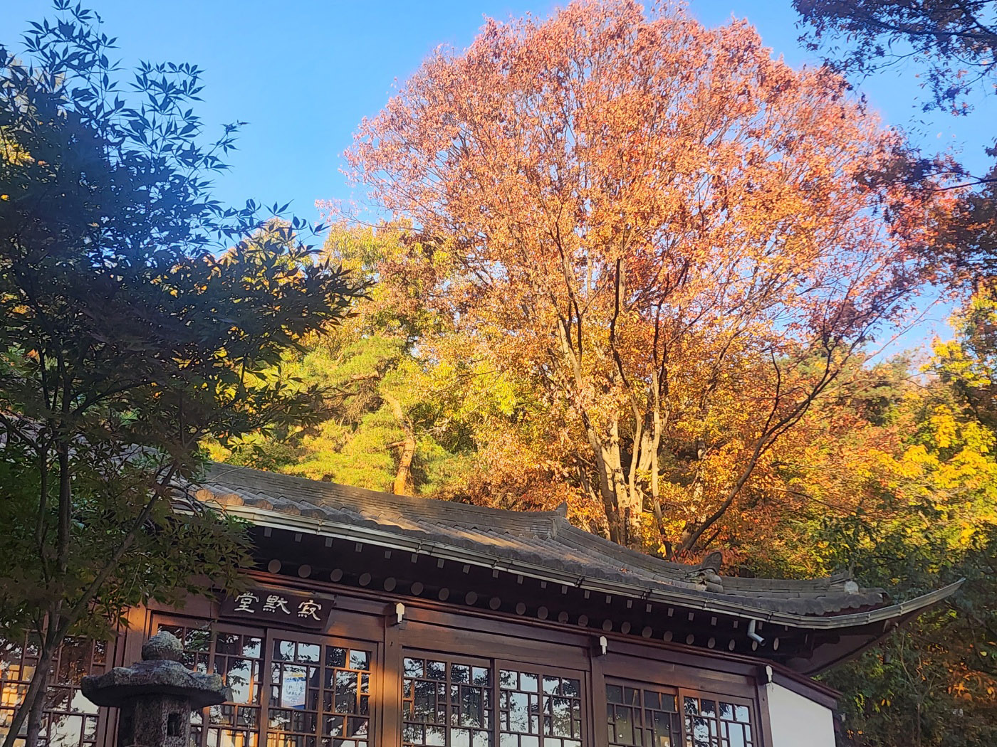 서울 단풍 명소 길상사