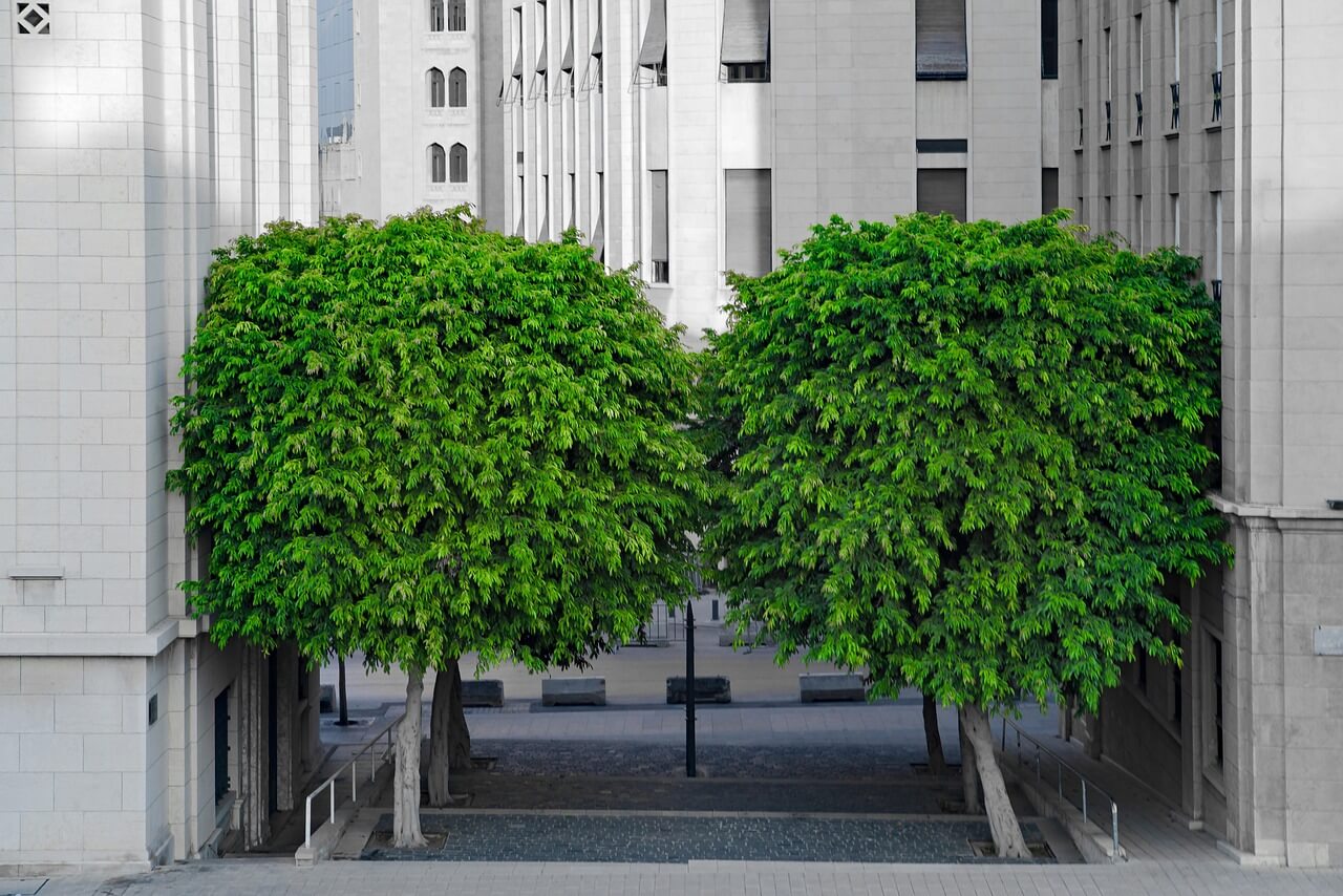 AI 기반 도시 숲 관리의 세대별 가치 인식