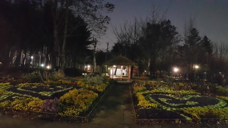 서울 양재 시민의 숲 밤 풍경, 정자와 꽃밭이 어우러진 조용한 산책로
