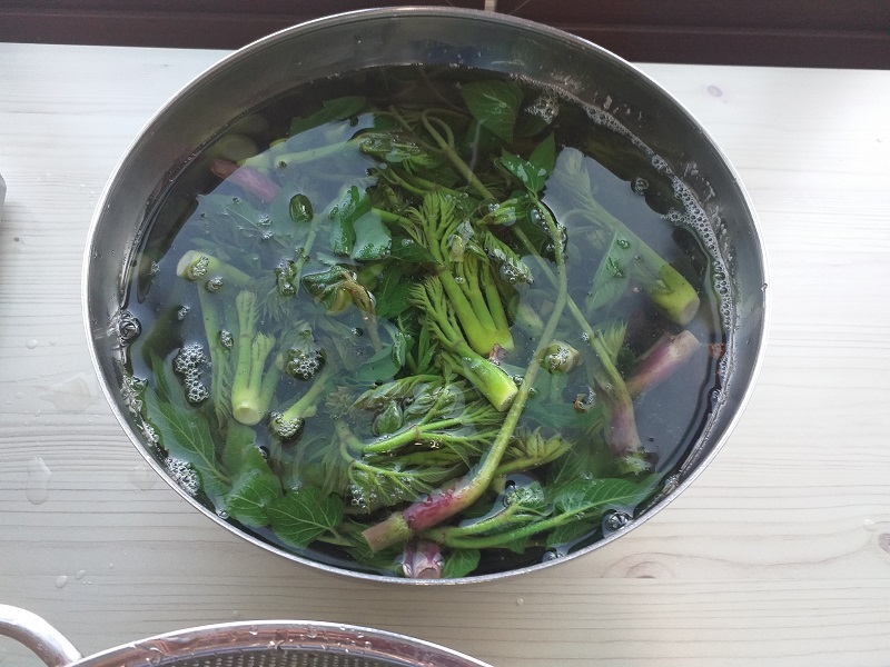 두릅데치기&두릅전