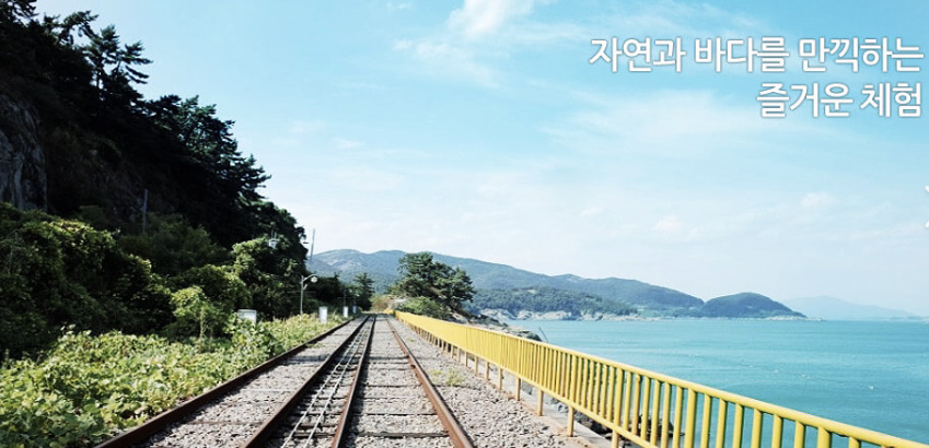 여수 레일바이크