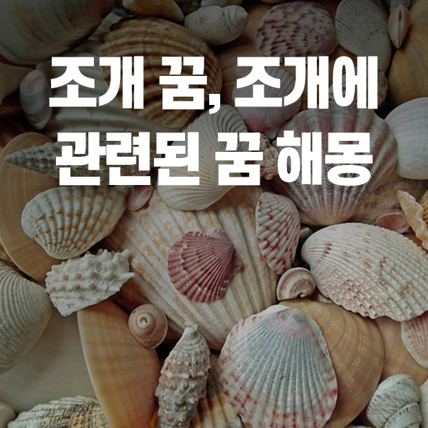 조개꿈해몽, 조개먹는 꿈, 조개와 관련된 꿈