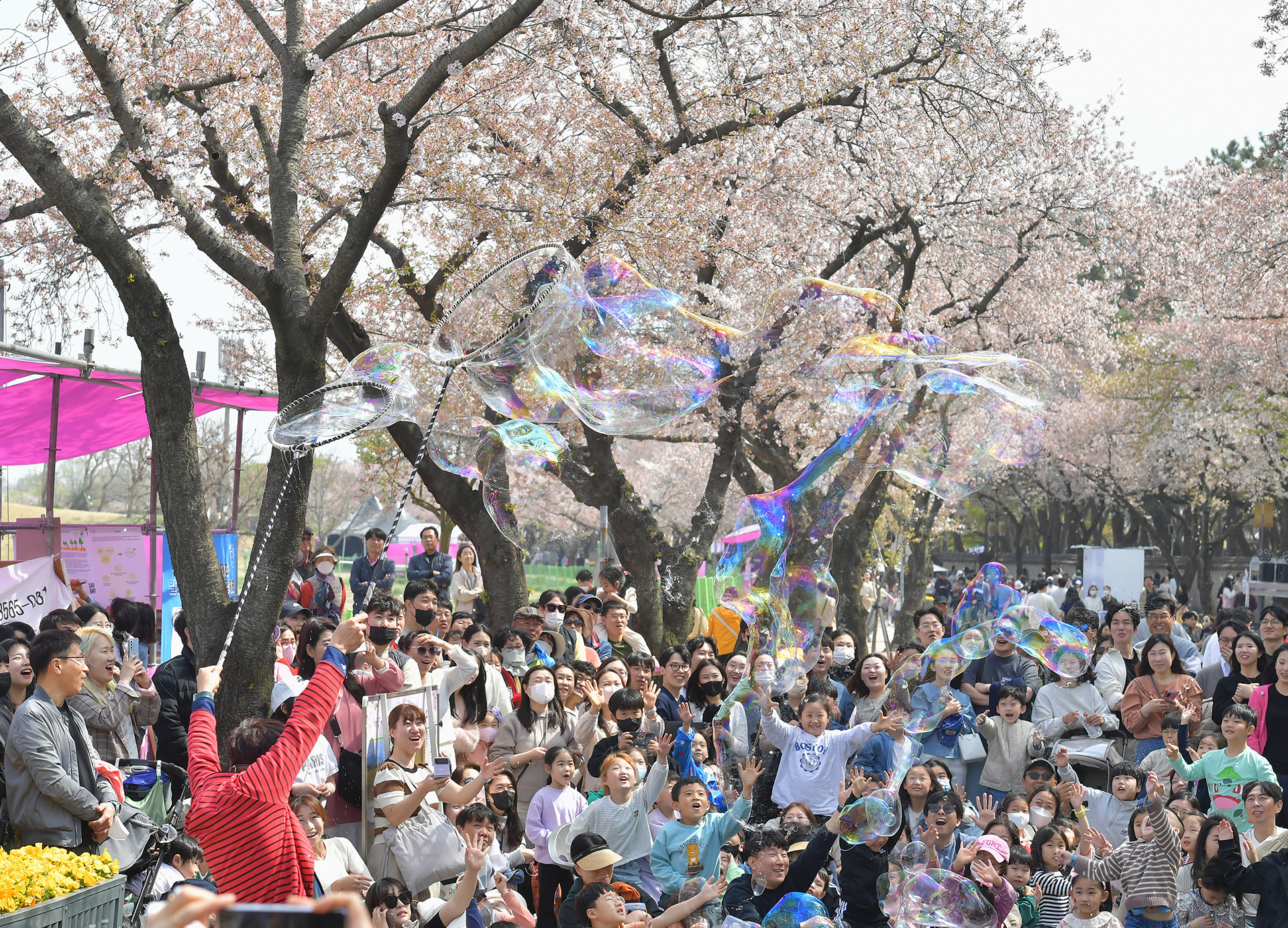 대릉원 돌담길 축제 관련사진2
