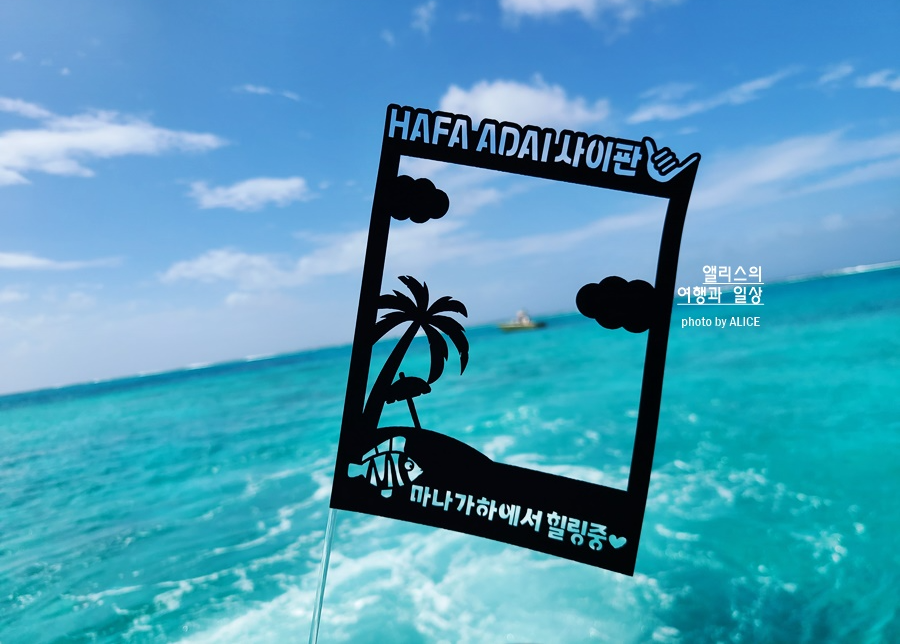 사이판 입국 최신 정보 필요 서류 영문 백신 접종 증명서, 필수입국신고서 폐지