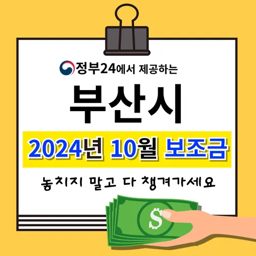 부산시 정부 보조금 분석 - 2024년 10월