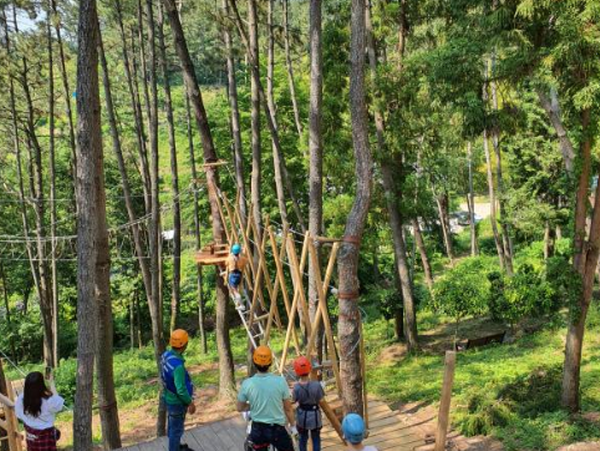 거제 맹종죽테마공원