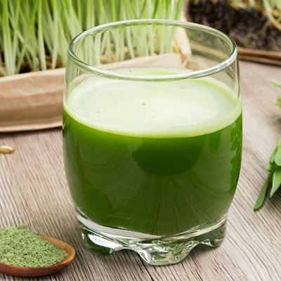 새싹보리이미지