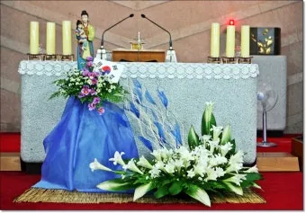 8월 15일 성모승천 대축일과 마리아의 영광_11