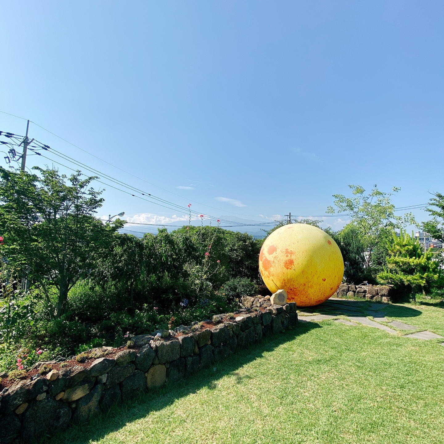 제주 서귀포 블라썸 꽃이피다 카페 인생샷 맛집