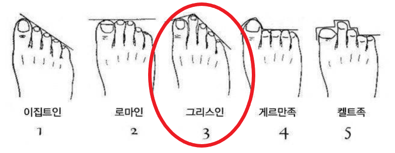 5가지 족형