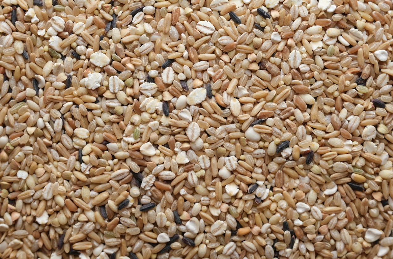 탄수화물의 올바른 섭취 방법에 관한 사진