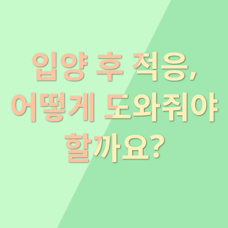유기견 입양_3