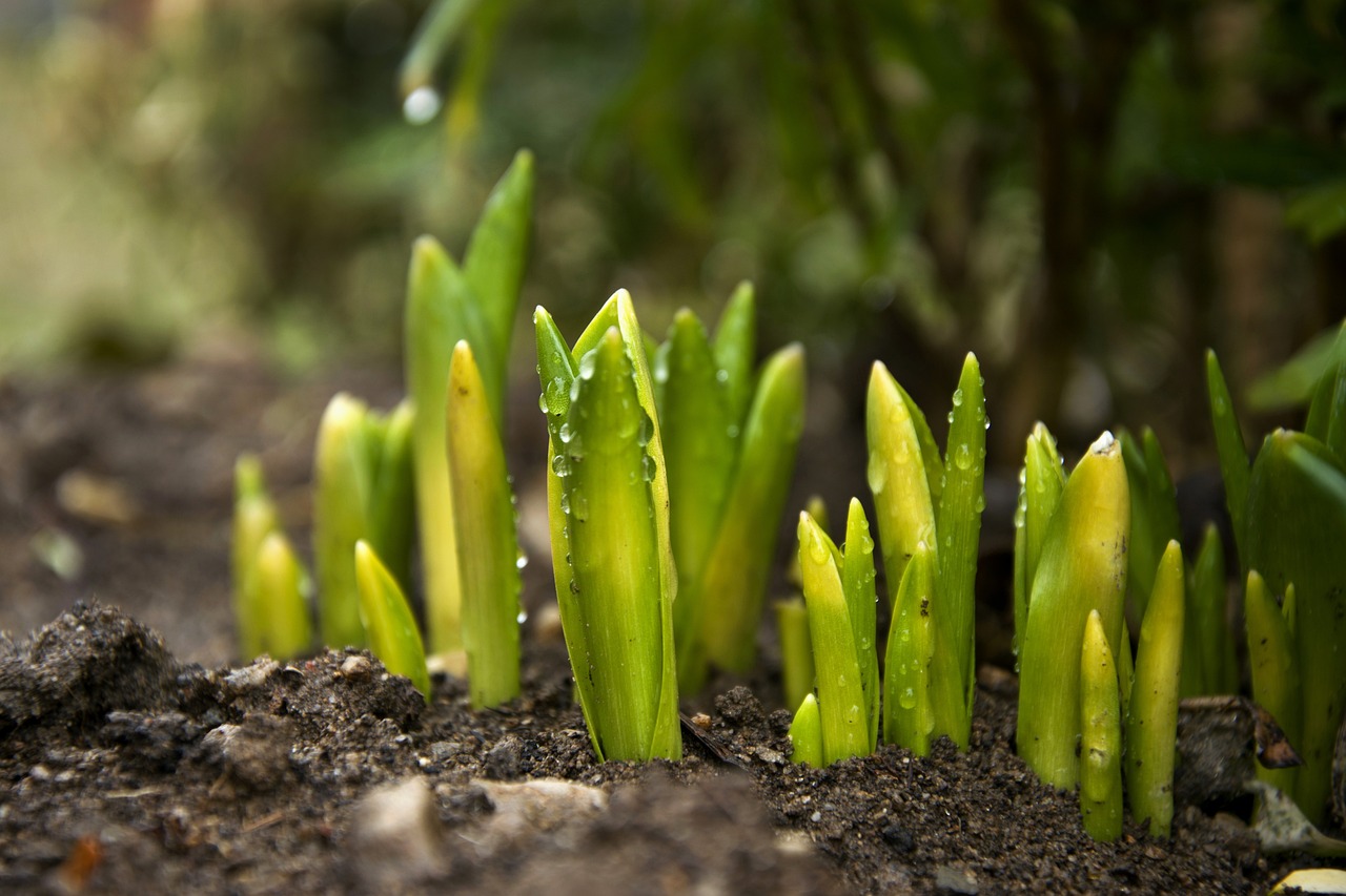 청년 일자리도약 장려금