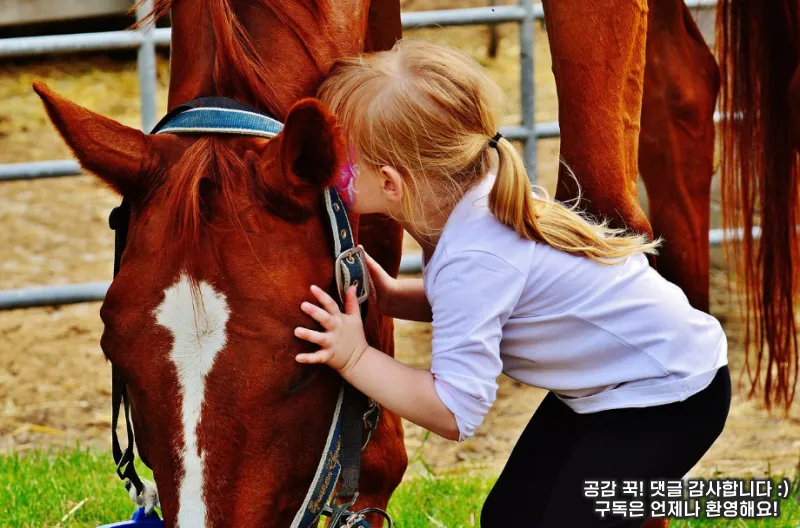아기 배변 훈련시 체크 해야하는 부분