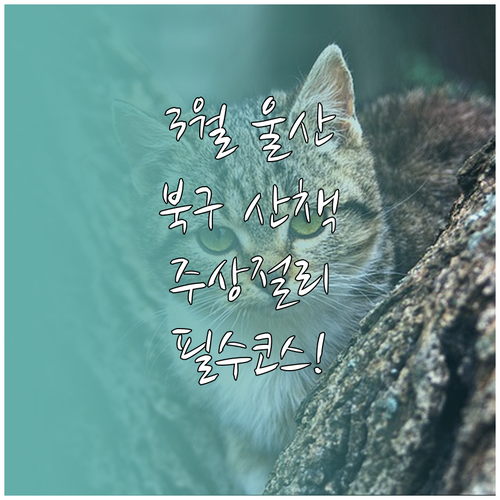 강동화암주상절리부터 송정호수공원까지 ..