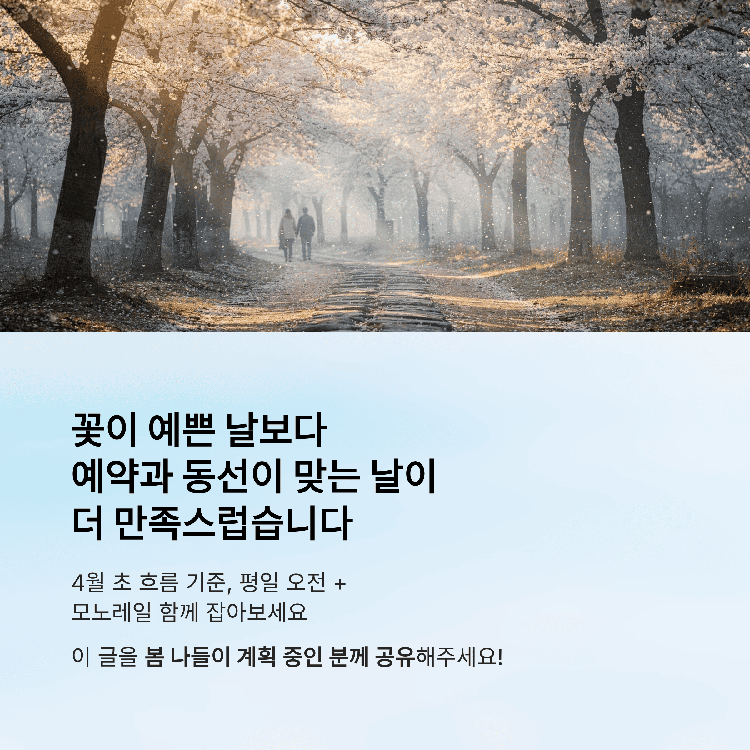 꽃이 예쁜 날보다 예약과 동선이 맞는 날 찾기