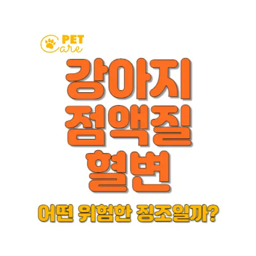 강아지 점액질 혈변 썸네일