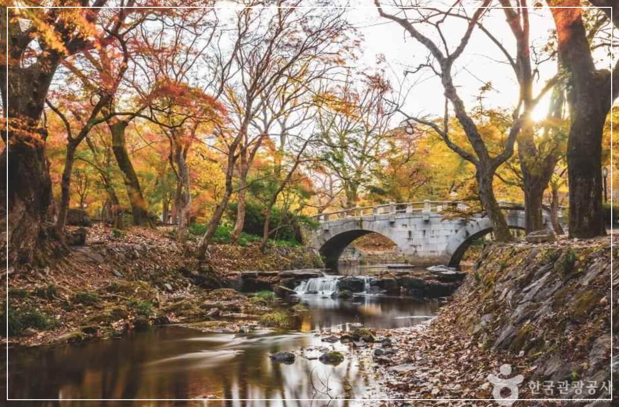고창 가볼만한곳 베스트10 선운사