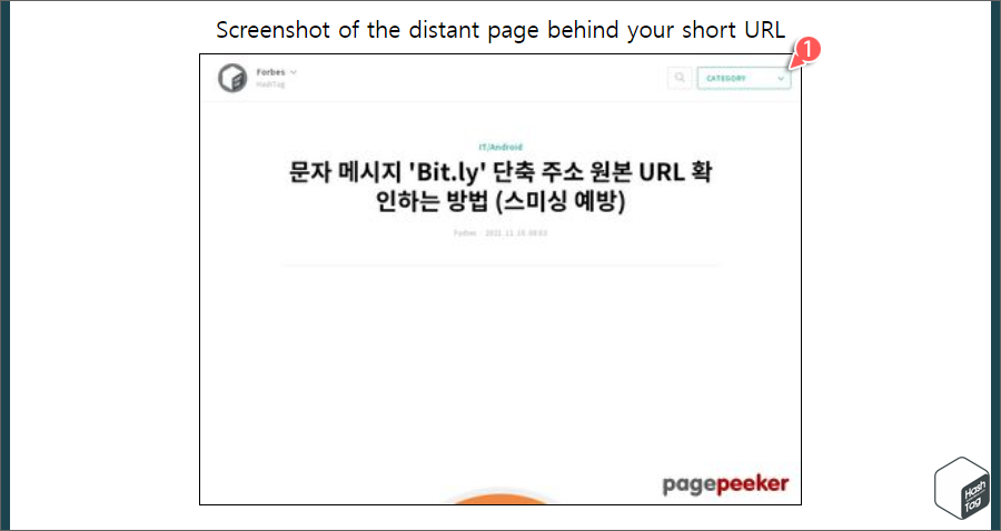 링크 주소 페이지 미리보기(스크린샷) 제공